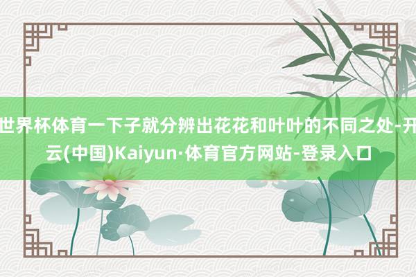 世界杯体育一下子就分辨出花花和叶叶的不同之处-开云(中国)Kaiyun·体育官方网站-登录入口