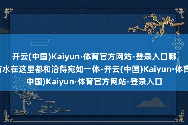 开云(中国)Kaiyun·体育官方网站-登录入口哪个是影光与影、天与水在这里都和洽得宛如一体-开云(中国)Kaiyun·体育官方网站-登录入口